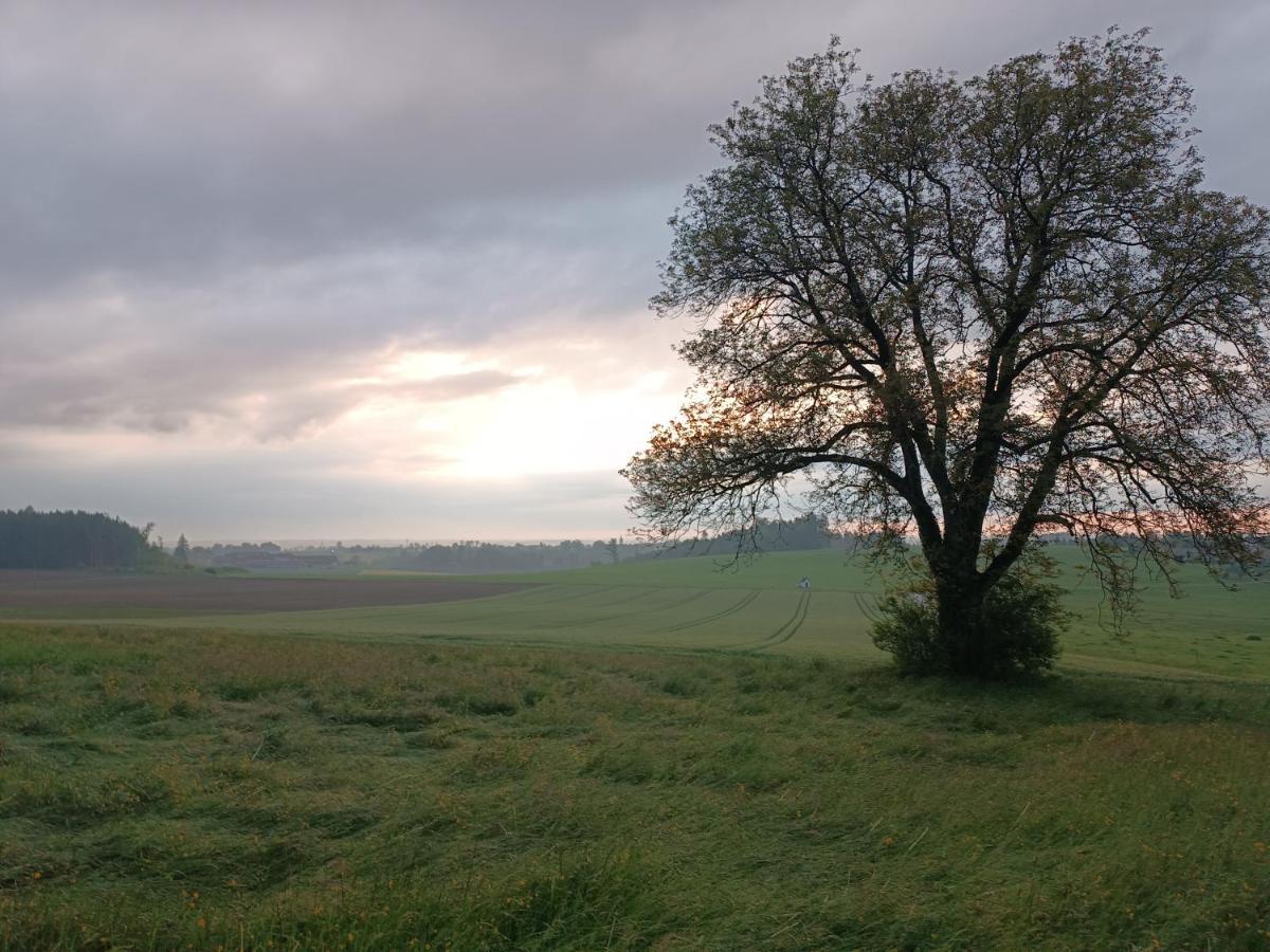 Landhaus Bio Kindererlebnisbauernhof Voit Sochtenau