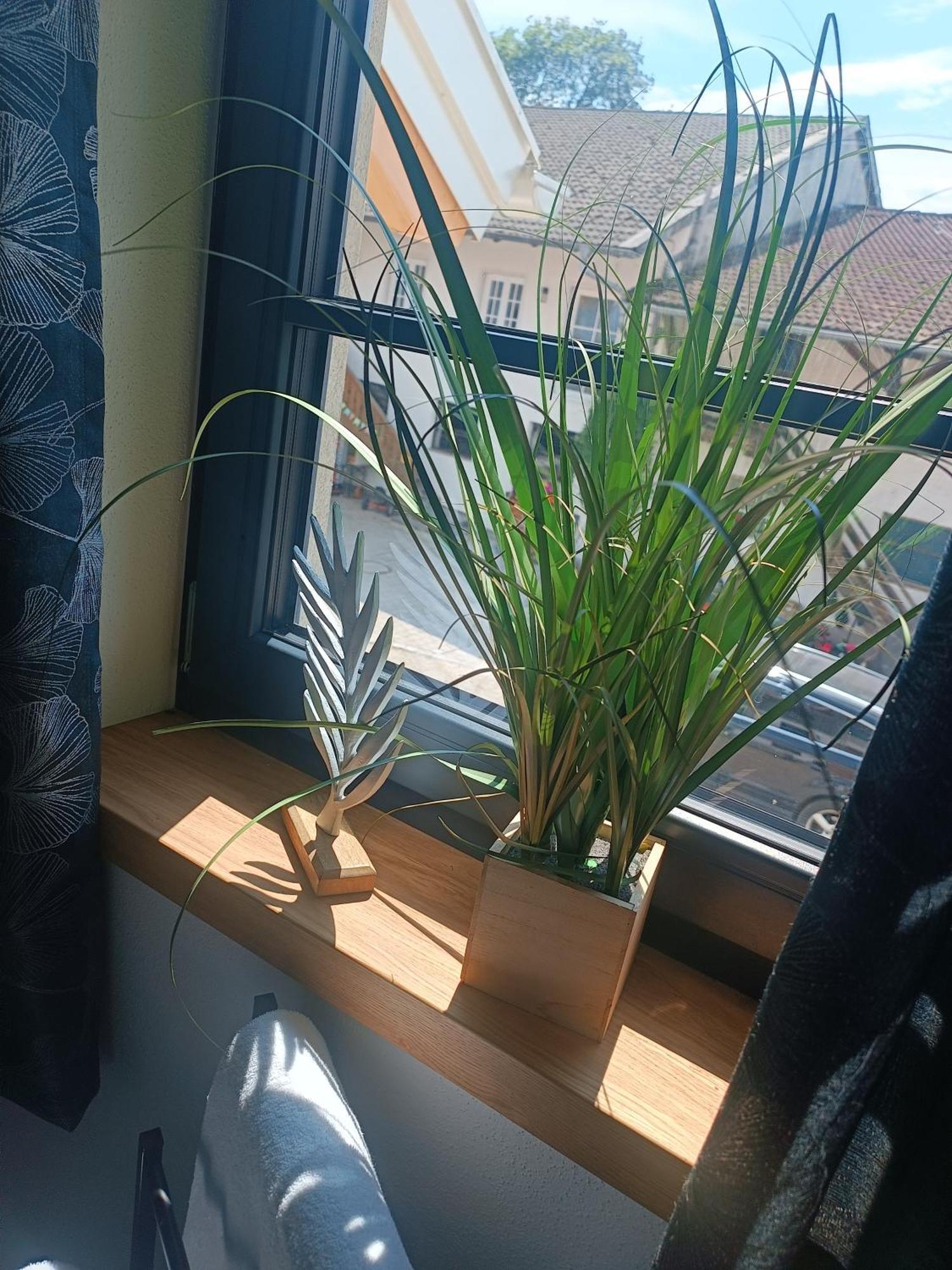 Bio Erlebnis Bauernhof Voit Sochtenau