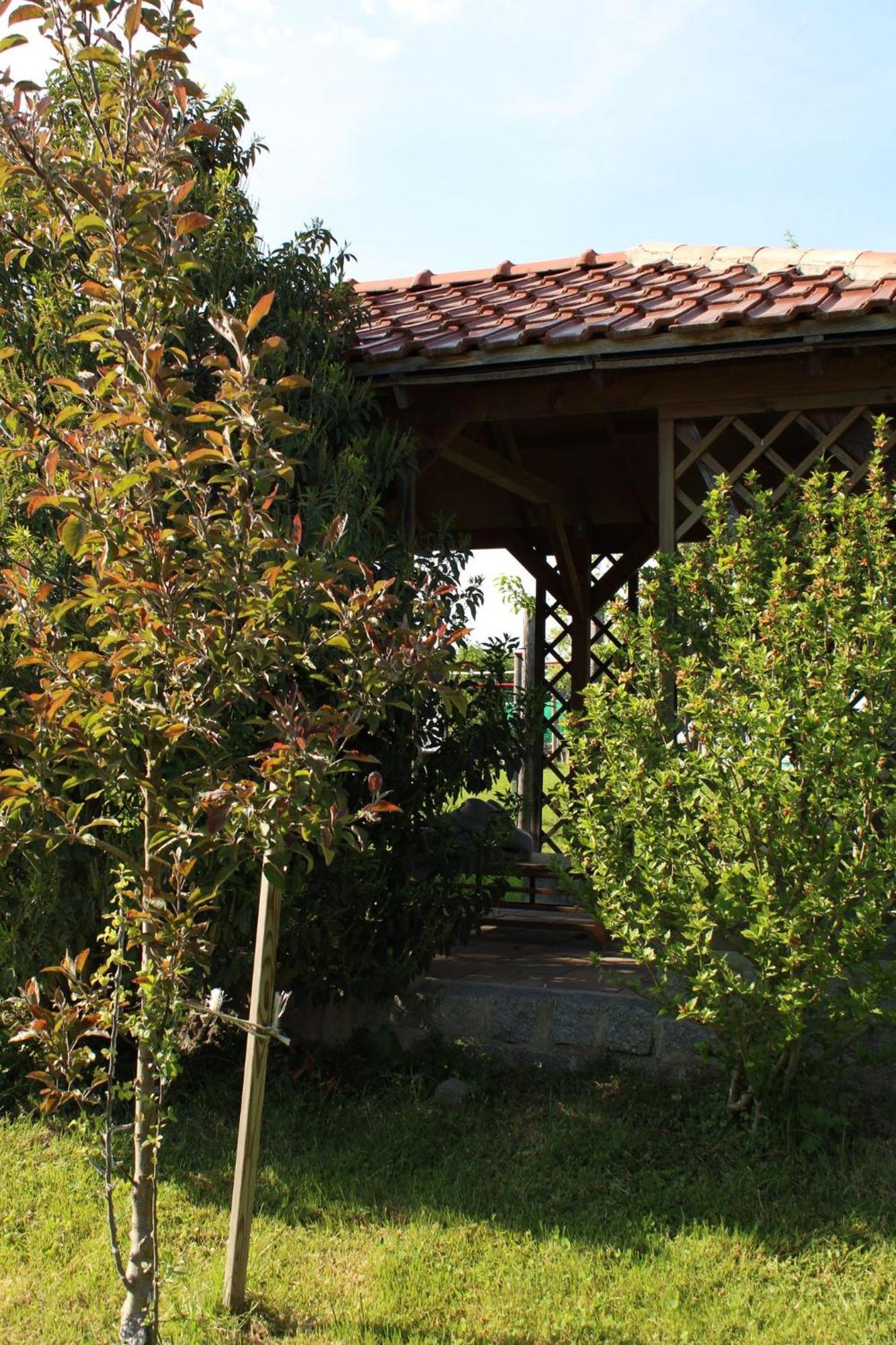 Bio Erlebnis Bauernhof Voit Country house *