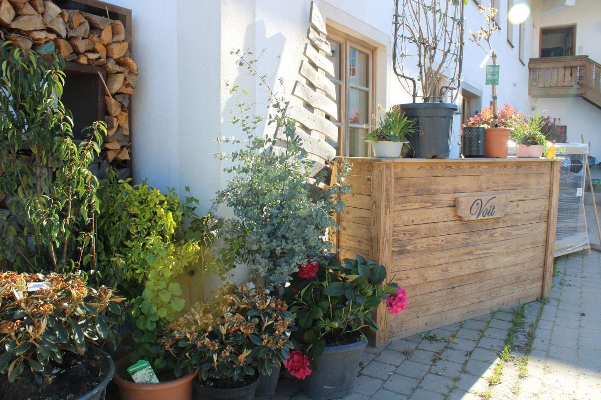Bio Erlebnis Bauernhof Voit * Sochtenau