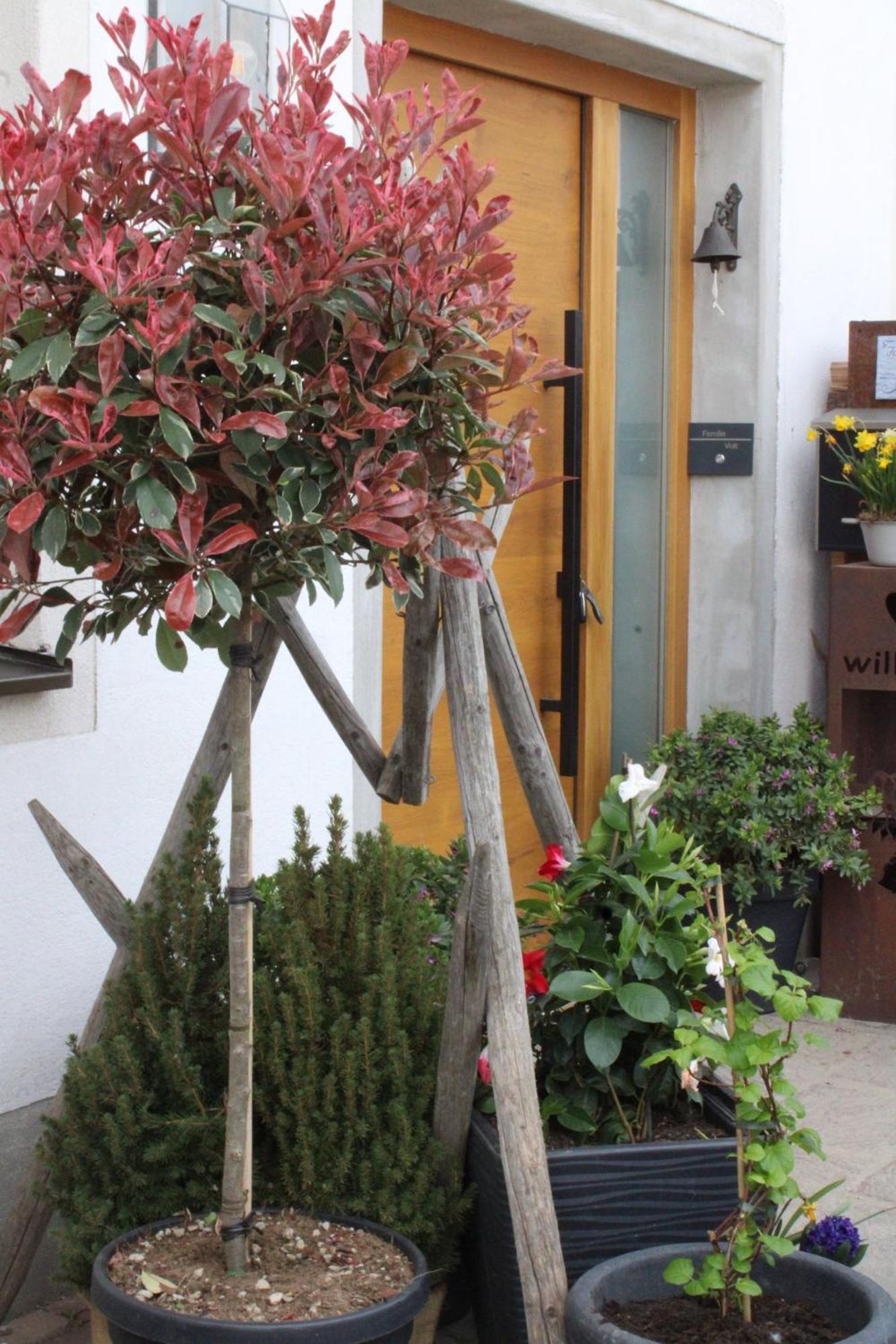 Country house Bio Erlebnis Bauernhof Voit *
