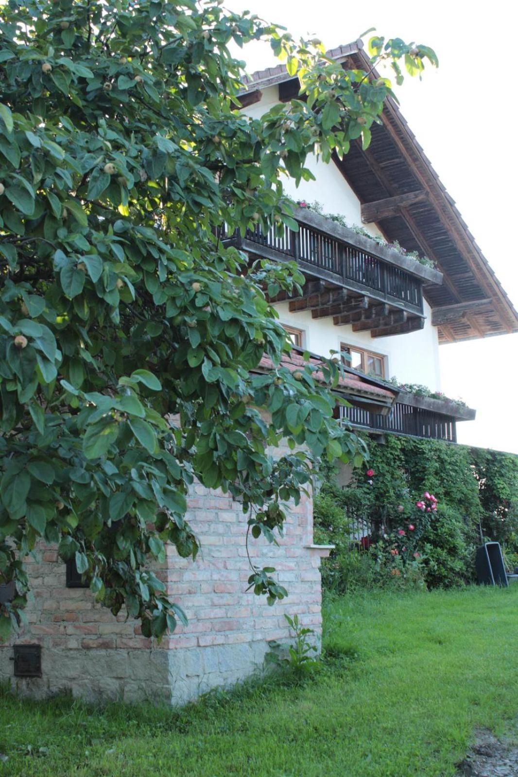 Country house Bio Erlebnis Bauernhof Voit