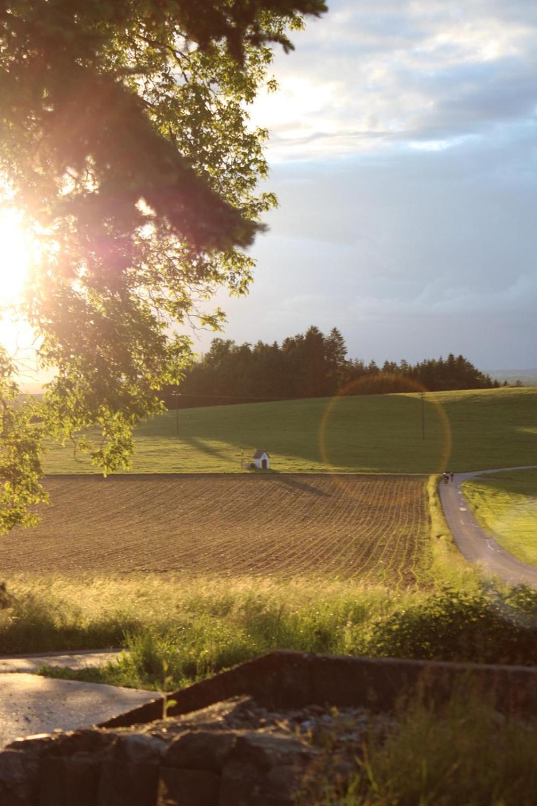 Bio Erlebnis Bauernhof Voit * Sochtenau